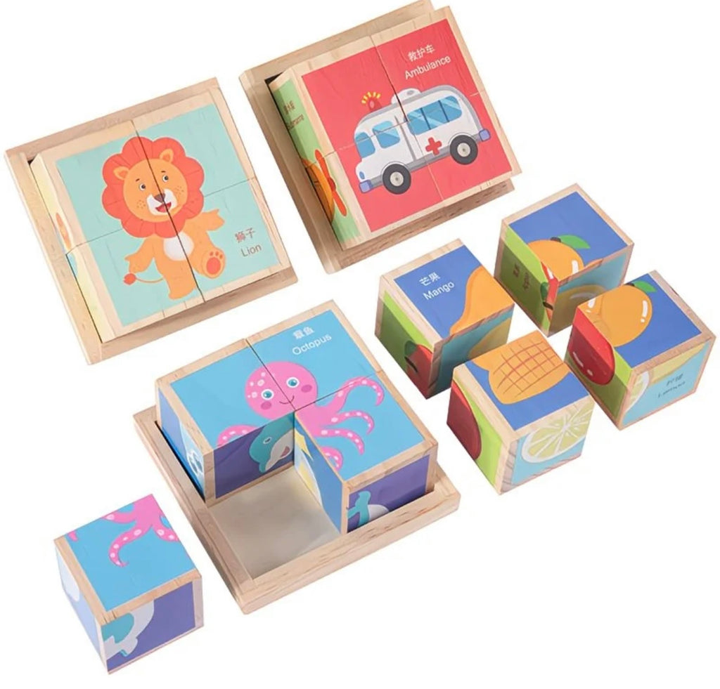 Wooden 6in1 Puzzle